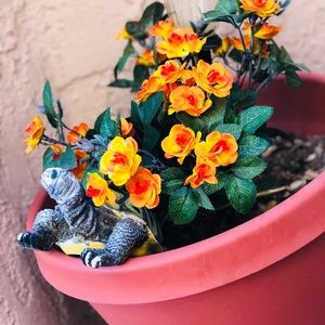 Meet your Posher, Miranda